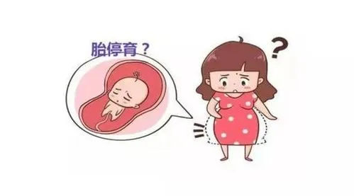  多發胎停育